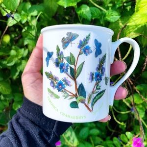 PORTMEIRION botanic butterfly coffee tea mug cup series botany OS vintage